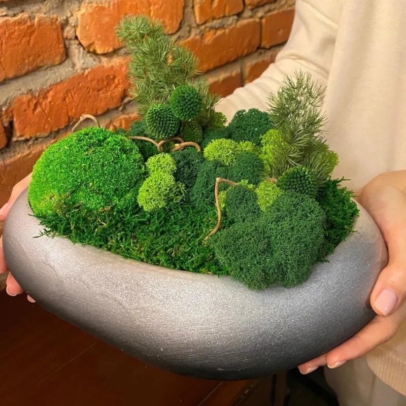人工モス フェイクモス 工芸品、鉢植え、フェアリーガーデン、 - Sphagnum Moss Dry のレビューと価格