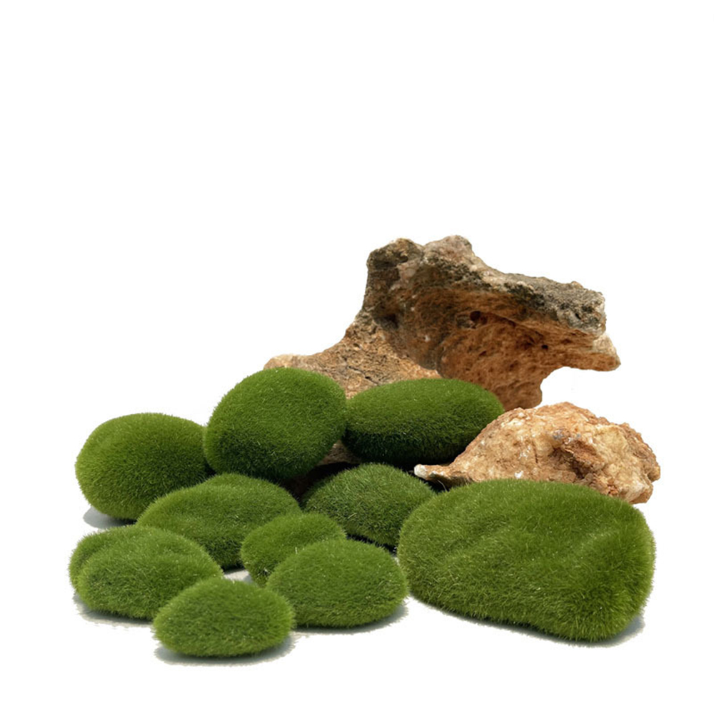 人工フェイクモスロック永遠の生命緑の植物草風景ミニわら工芸マ - Sphagnum Moss Dry のレビューと価格