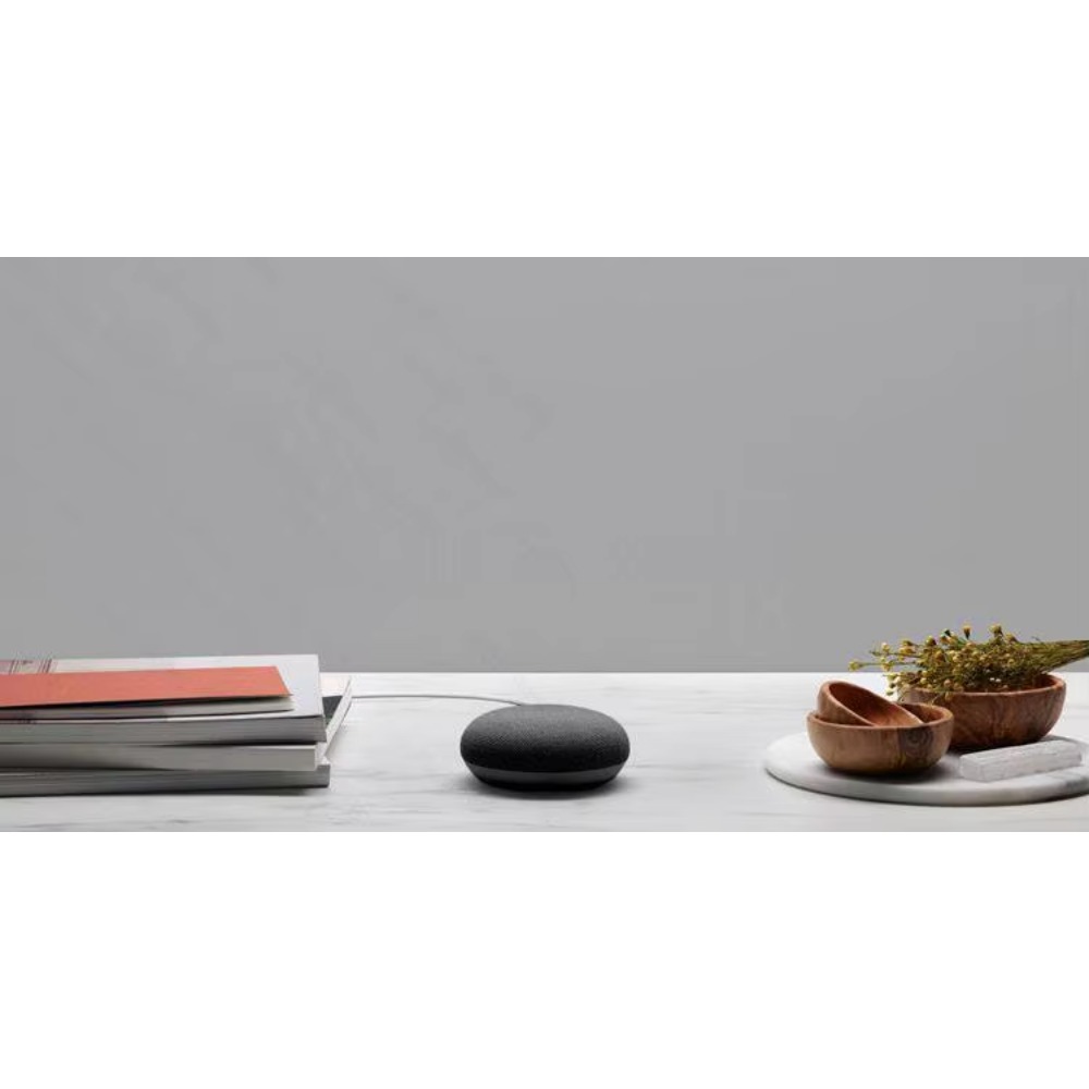 Google Nest Hub Max、Nest Mini（ - Google Speaker Nest Hub のレビューと価格