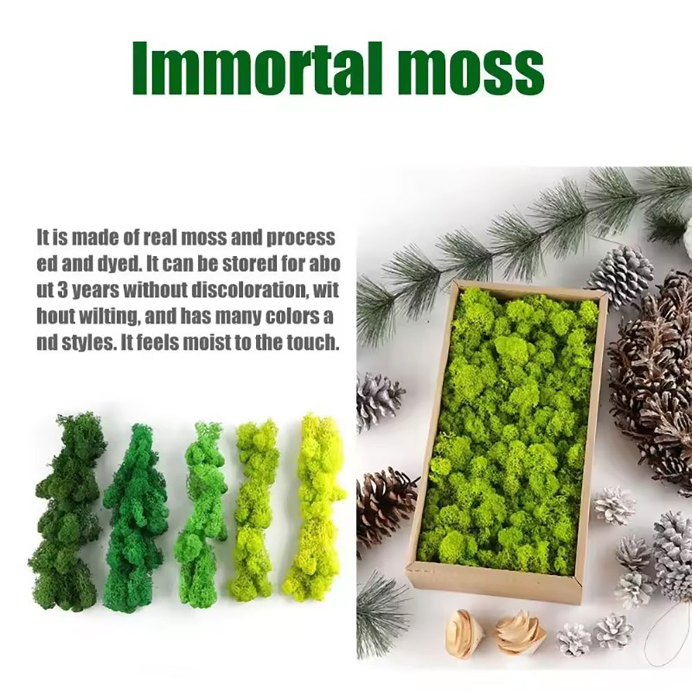 200/500g 永遠の命 フェイクモス 植物ウォール ラン - Sphagnum Moss Dry のレビューと価格