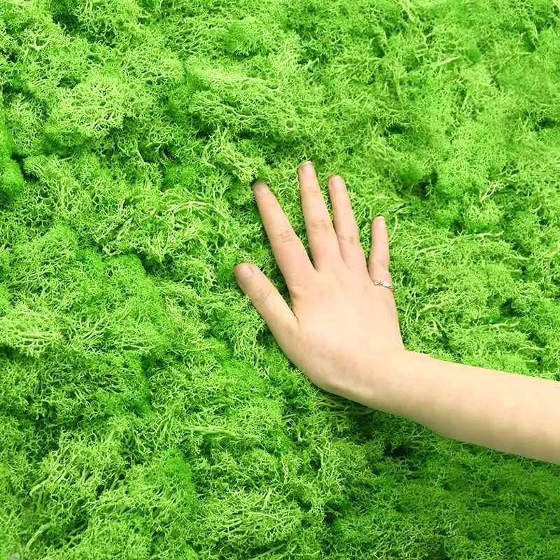 人工緑植物モスグラス造花家庭用リビングルームの壁の装飾 DI - Sphagnum Moss Dry のレビューと価格