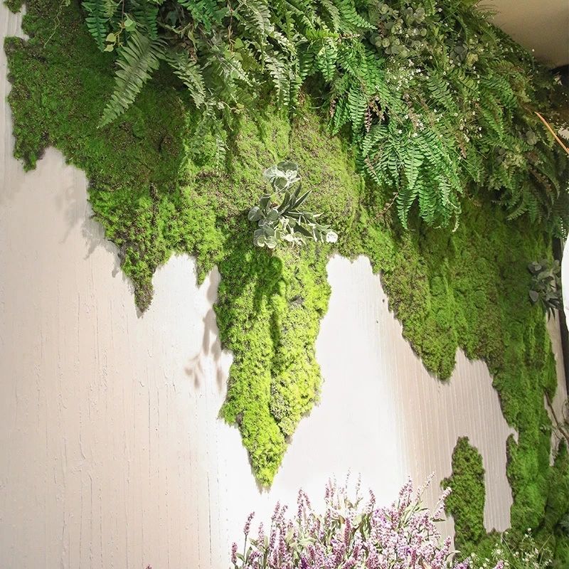 人工緑植物モスグラス造花家庭用リビングルームの壁の装飾 DI - Sphagnum Moss Dry のレビューと価格